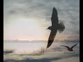 this vistory features florida's okeechobee and british columbia's lisa brokop, who in my opinion is one of canada's most under-rated singers.  her voice is unmistakable, and this is definitely one of her best 