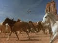 The Horses