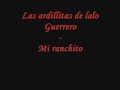 las ardillitas   mi ranchito