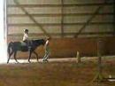 Kate Post Trotting