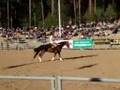 Emelie Lundström Freestyle Reining Ranch Horse Classic 2008