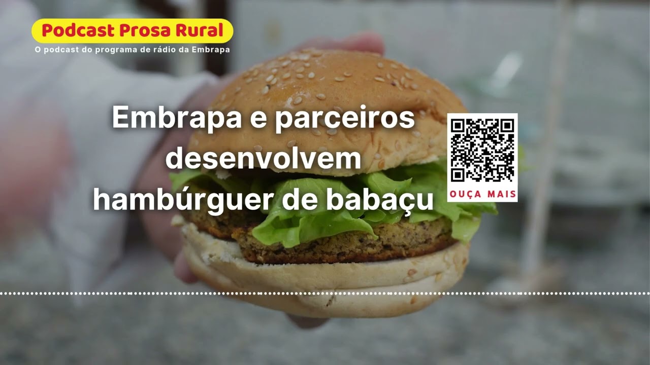Embrapa e parceiros desenvolvem hambúrguer de babaçu
