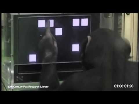 Apes Are Getting Smarter Part 2 0 Apes Are Getting Smarter Part 2
