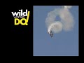 jacquie-b-airshows.html