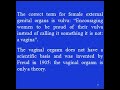 sexual education scientific female sexual anatomy dickinson