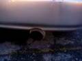 VTEC Exhauts