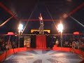 Berl is in te huren via De Leeuw Circusevents