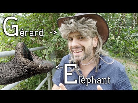 Espèce d'éléphant - Culture Gérard