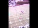 Cabrillo Ball Hawk Cabrillo Ball Hawk