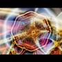 Dark Psychedelic Addicted -HiGH- Complication