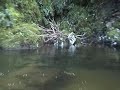 Lord of the Rings - Rivendell