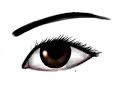 Draw eye in photoshop Tutorial Draw eye in photoshop Tutorial