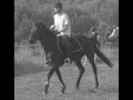 hirondelle et moi