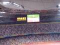 Women's wheelchair relay 4x100m finals
