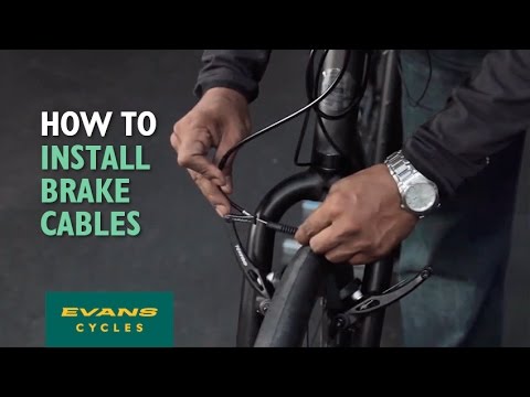 evans cycles evans cycles