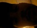 Doumentary by John