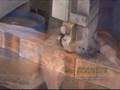 Fabrication d'un arc traditionnel