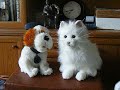 buddies buddies