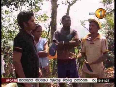 7PM Newsfirst Prime time Sirasa TV 29th July 2014