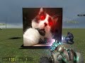 Epic cat laser