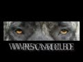 presa canario in action 2