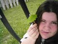 Lustra -- "Scotty Doesn't Know"