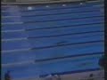 ncaa championships, 1989 & 1990  princeton posts back to back wins with mike ross, ty nelson, leroy kim, richard korhammer, rob 