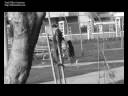 mahkeme - ilk s�z.wmv