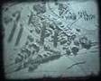 Wettbewerb Neue Stadt Wulfen 1961