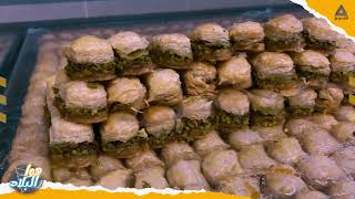 تعرف على مدينة عكا التاريخية ضمن حلقات برنامج هوا البلاد على الجرمق.