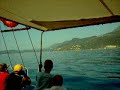 delphins in korfu by sypros boat trip