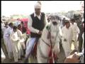 FIVE STAR DVD POINT KOLIAN ROD DINGA GUJRAT {JASHN E KHARIAN SACTION NEZA BAZI 23}