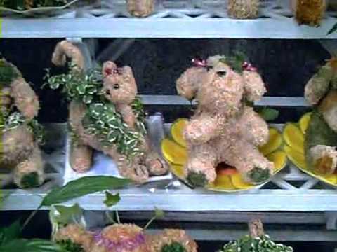 Смотреть видео