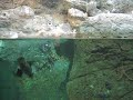 Bathing Puffin