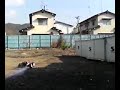 オークションに出す前に撮影してみました。古い携帯の録画じゃーこんなもんですか・・・RBのエンジン音が再現されてるとは思えません＾＾； 