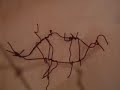 HIGHLIGHT CONTEMPORARY ART PROJECT - ARTE CONTEMPORANEO