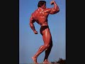 Arnold Schwarzenegger orders Mickey D\