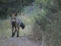La Siberia Extremeña (Badajoz): Garbayuela, Siruela y Talarrubias