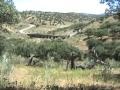 La Siberia Extremeña (Badajoz): Garbayuela, Siruela y Talarrubias