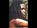 Delroy Williams - Red Gold & Green In My Garden