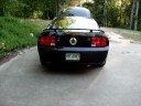 mustang whipple S/C and FRPP Hot Rod Cams Manele-Gratis.net