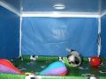 Shih Tzu Hembra COV REF:191 10