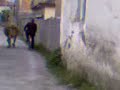 Andi%Bledi Andi%Bledi