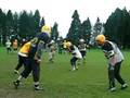 Kelted tackle !!! ( junior )