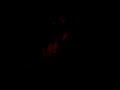 teledysk, klip, Ray Lamontagne,- Burn