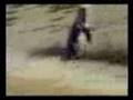 Penguin On Speed