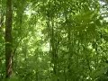 viaje a chiapas