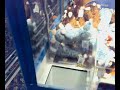 The Claw Machine - Success 7 Ratatouille The Claw Machine - Success 7 Ratatouille