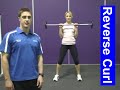 WSI Reverse Curl.wmv