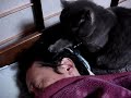 Wake Up Time!